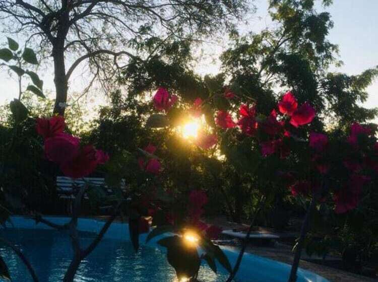 بنسيون Macambira Café Pousada