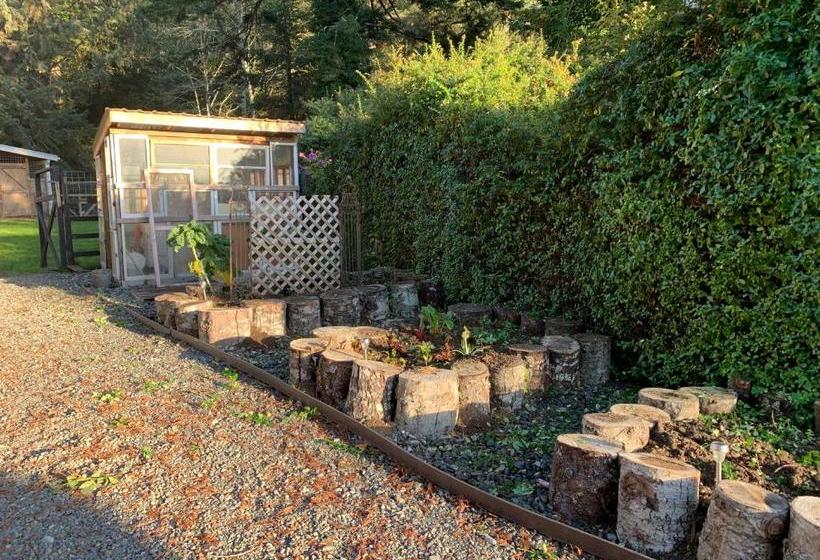 مبيت وإفطار Taylor Creek Lodge