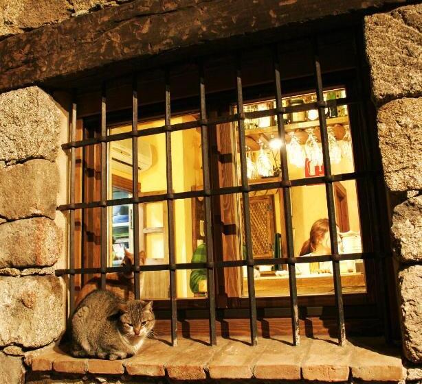 הוסטל Posada La Gatera