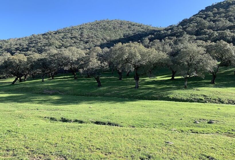 펜션 Casa Rural Sierra Tórtola 2