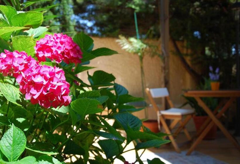 پانسیون Ca La Carmeta