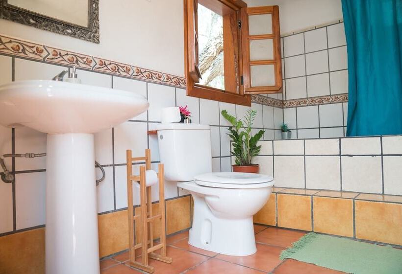 膳宿费 El Cerro De La Luna