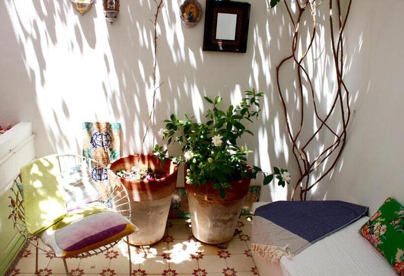 פנסיון Casa Limon