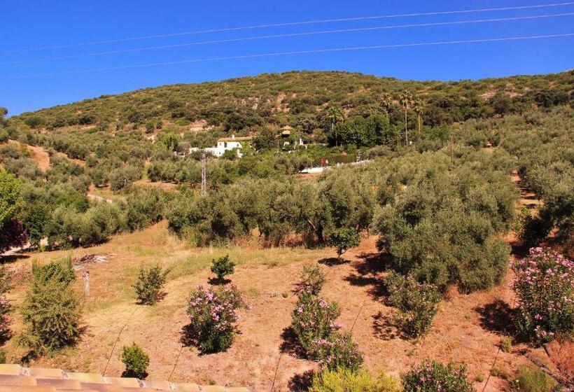بنسيون Hostal La Zamora