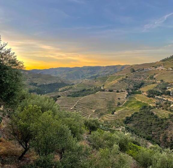 هتل Casa Dos Barros Winery Lodge By Vintage Theory