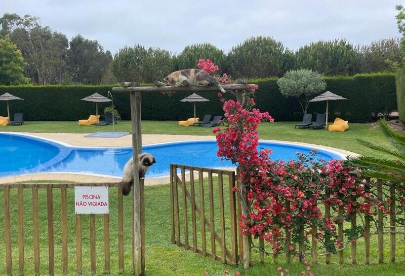 فندق Monte Joao Roupeiro   Turismo Rural