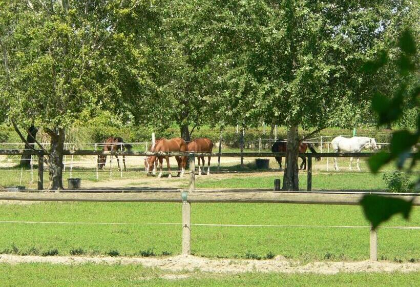 בית מלון כפרי Agriturismo Borgo San Francesco