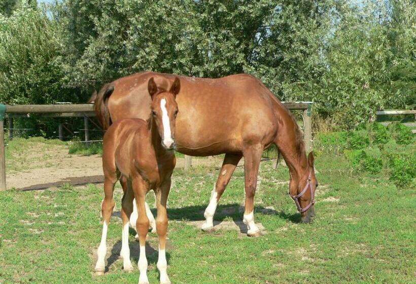 בית מלון כפרי Agriturismo Borgo San Francesco