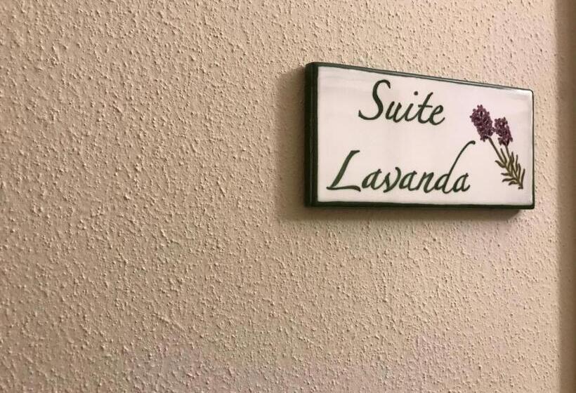 هتل Agriturismo La Rinaldina