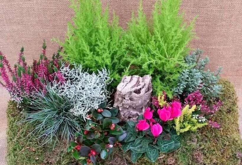 فندق Masetto Egidio Agritur