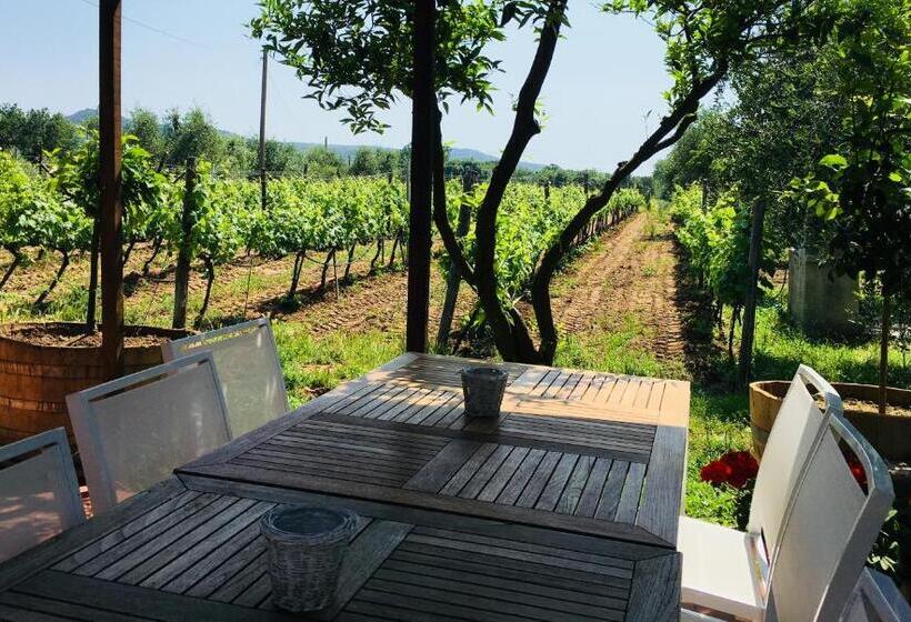 فندق La Cipriana