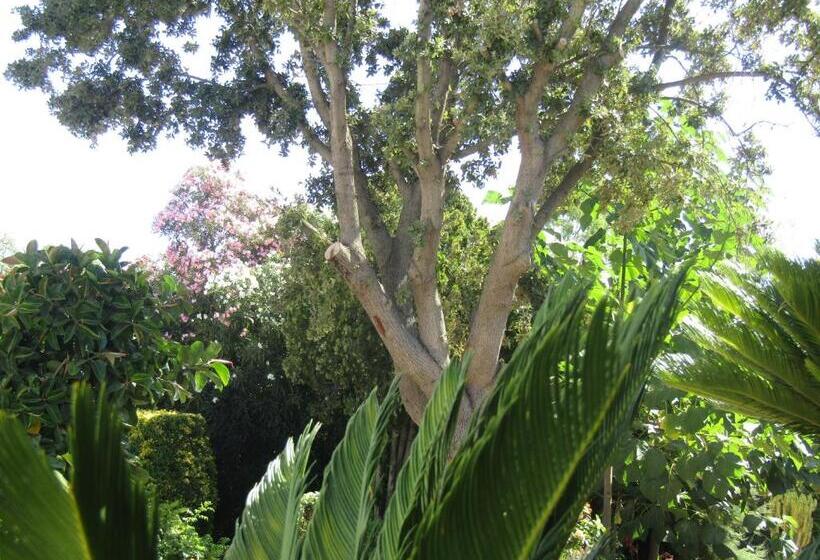 膳宿费 Arenosu Comfort Country Resort