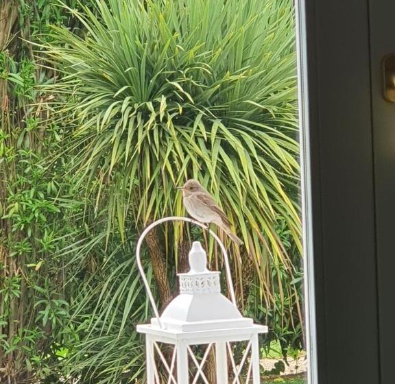 膳宿费 Arenosu Comfort Country Resort