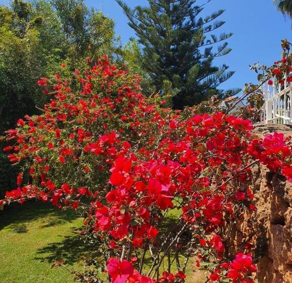 膳宿费 Arenosu Comfort Country Resort