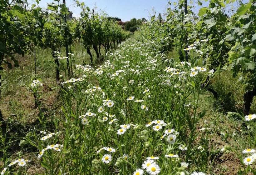 فندق Azienda Agricola Garoglio Davide