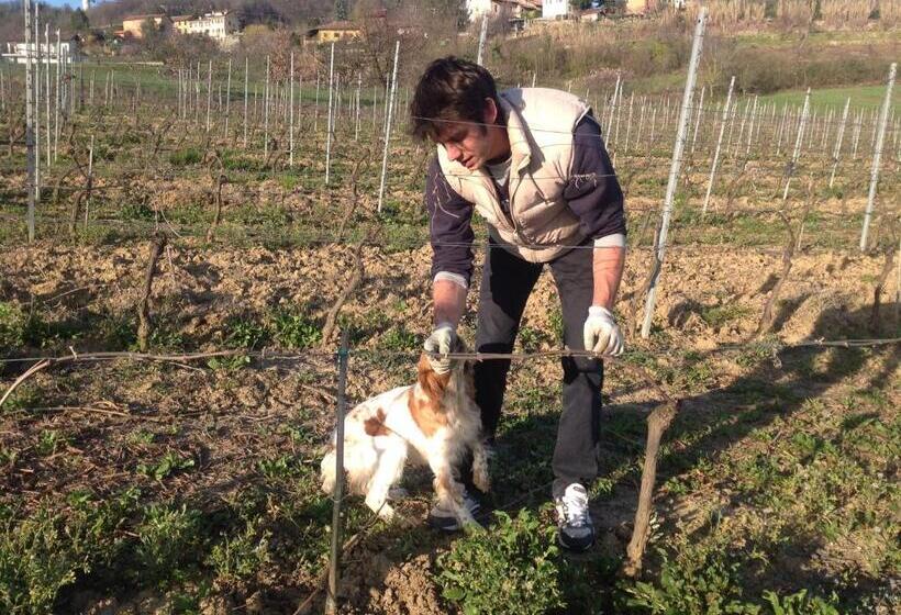 فندق Azienda Agricola Garoglio Davide