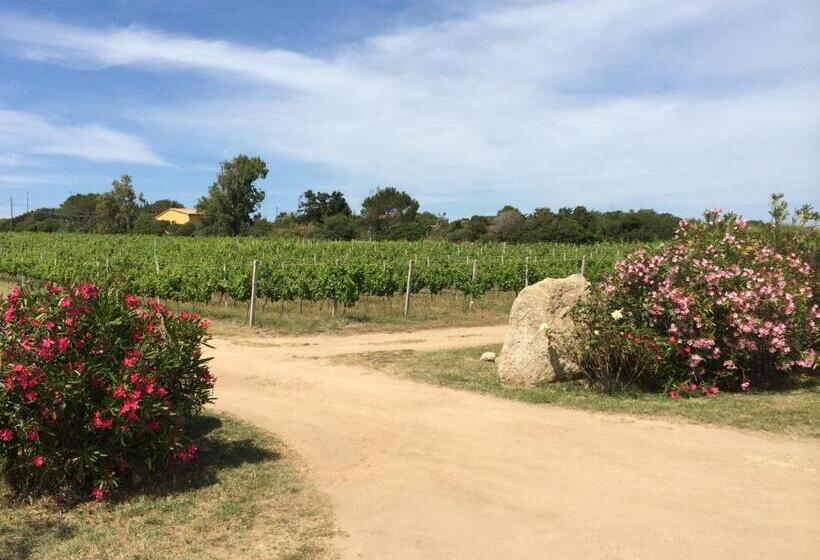 호텔 Agriturismo Campesi Casale Tra Le Vigne