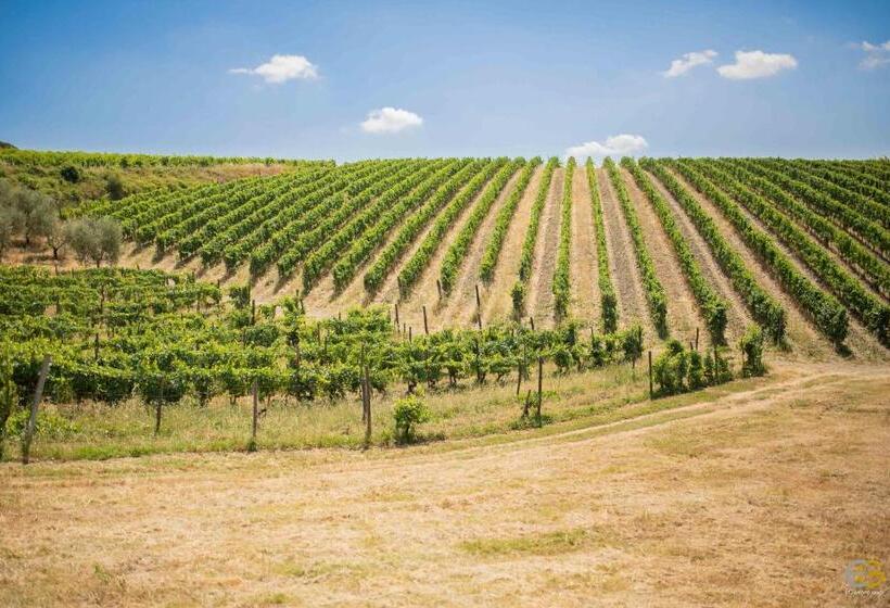 호텔 Terre Di Melazzano   Le Case Di Patrizia