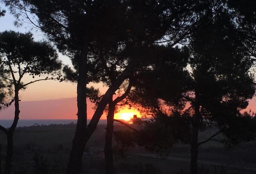 پانسیون Il Colle Delle Terrazze