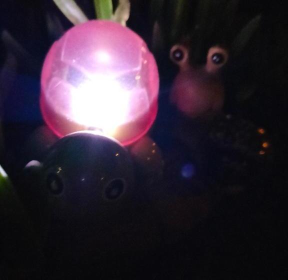 ペンション Night & Day Affittacamere Di Laura Patuelli