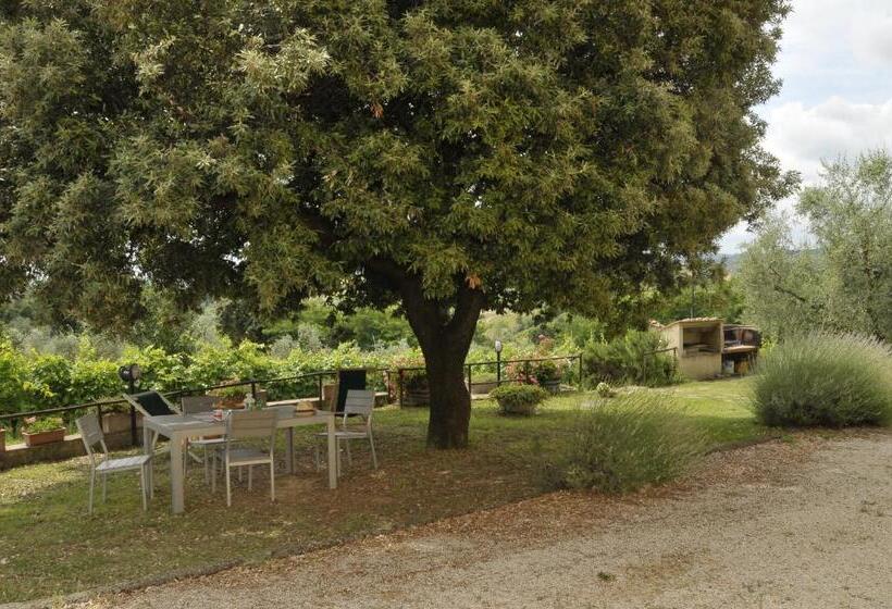 בית מלון כפרי Agriturismo Renai E Monte Ii