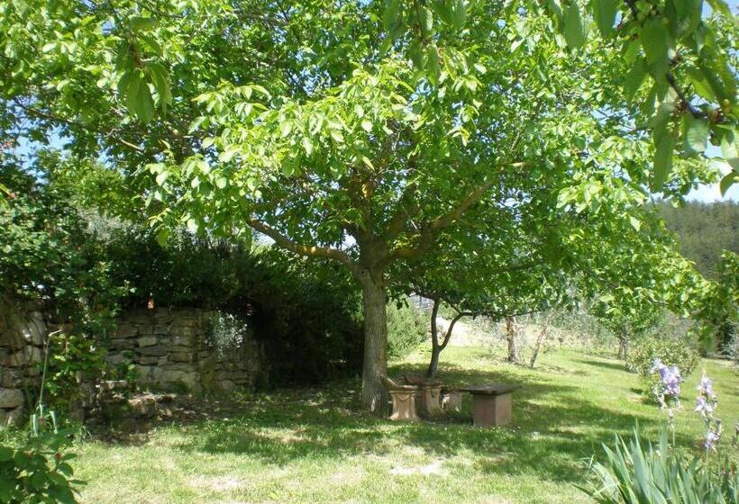 ホテル Agriturismo Podere Torre