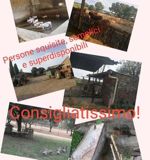호텔 Biobagnolese Agriturismo