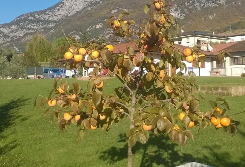 هتل Agriturismo Trefrutti