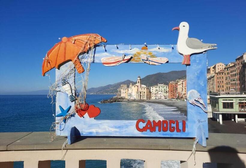 بنسيون B&b Villa Orchidea