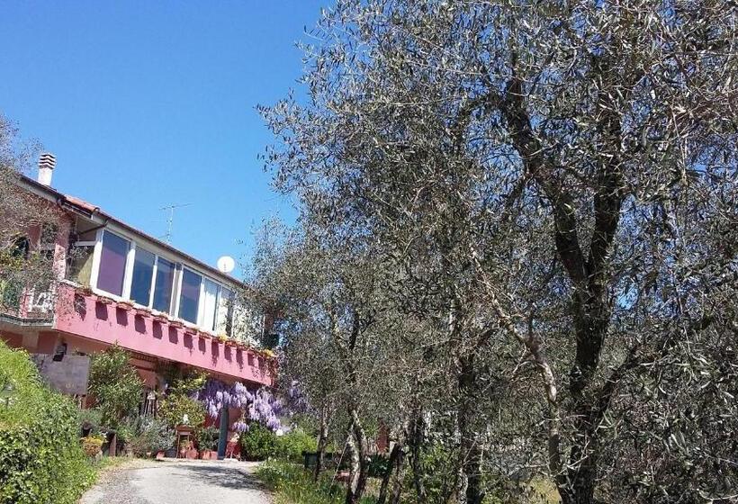 بنسيون La Casa Rosa