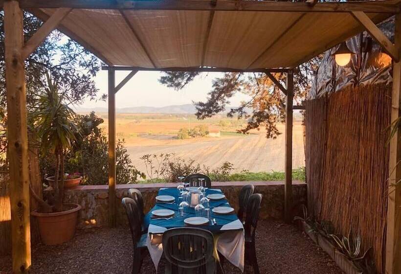 Отель Agriturismo Poggio Ciliegio