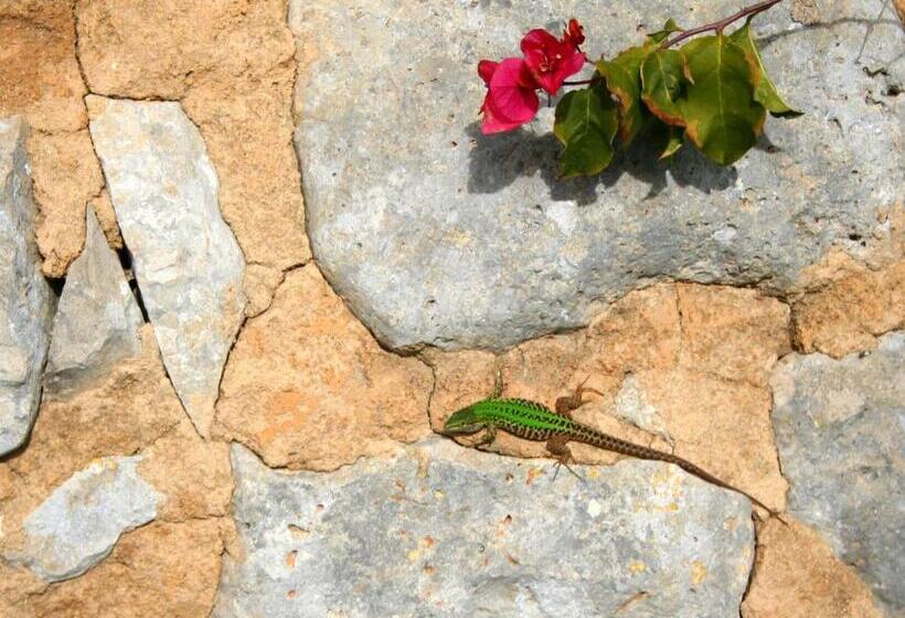 호텔 Agriturismo Spirdo