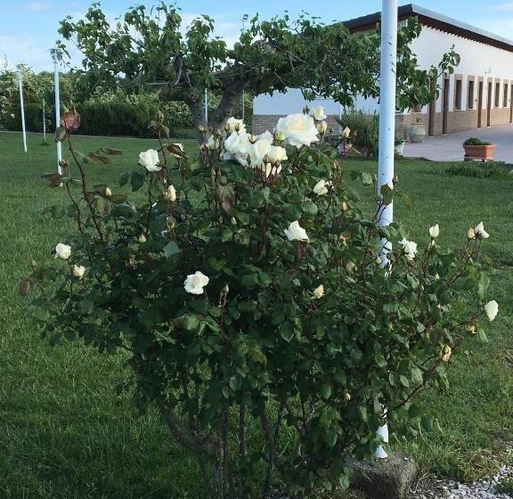 فندق La Massarìa Agriresort