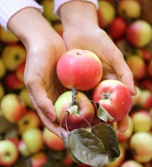 בית מלון כפרי Società Agricola Cacigolara