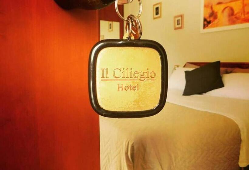 펜션 Guesthouse Il Ciliegio