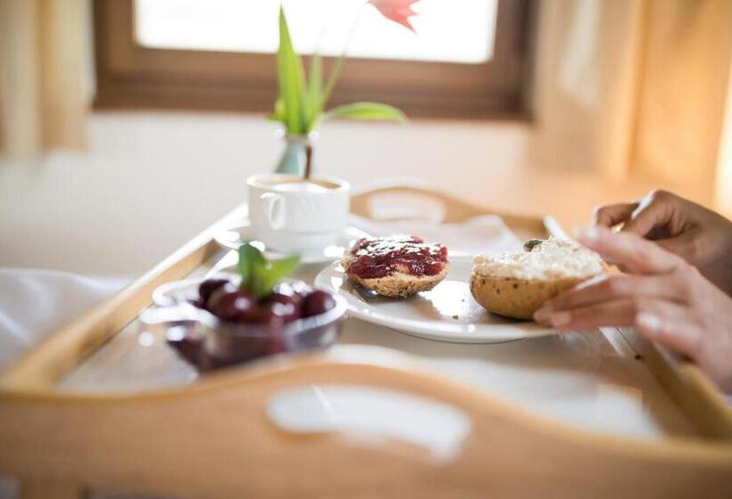פנסיון Weingut Weidlhof   Suite & Breakfast   Vacation For Wine Lovers