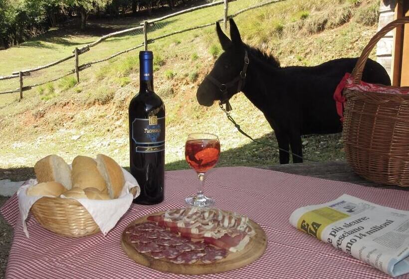ホテル Agriturismo Agrimon