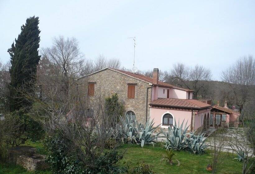 호텔 Agriturismo Bio Fattoria Casetta