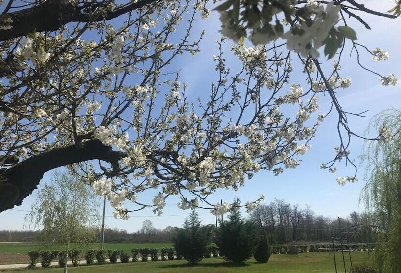 호텔 Agriturismo La Biandrina