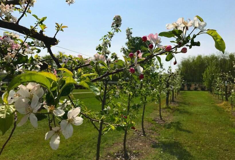 호텔 Agriturismo La Biandrina