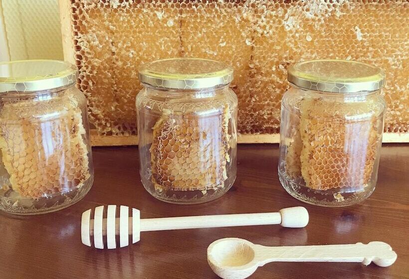 호텔 Agriturismo La Biandrina