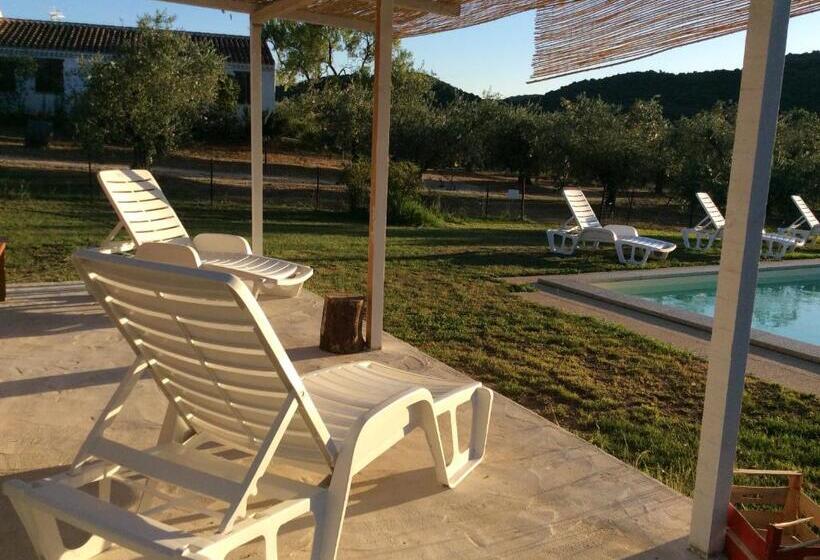 Отель Tenuta Don Ballore