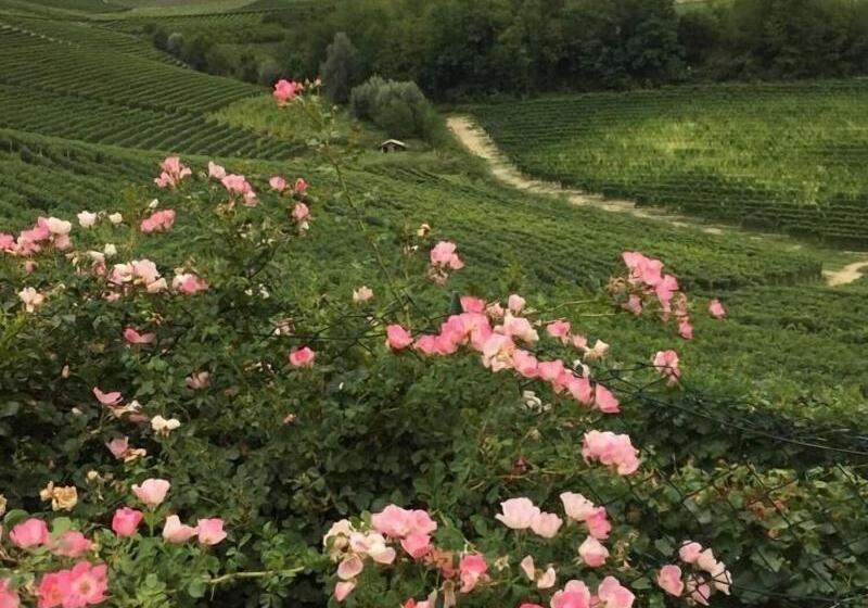 بنسيون Residence Delle Rose