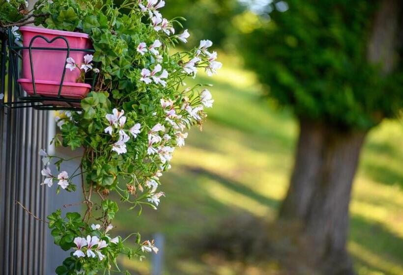 호텔 Agriturismo L Ciabot