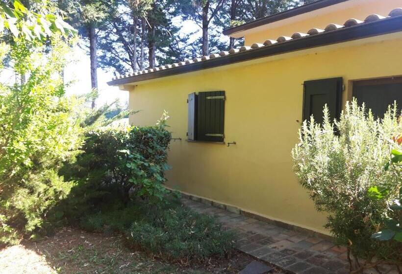 호텔 Agriturismo La Selva