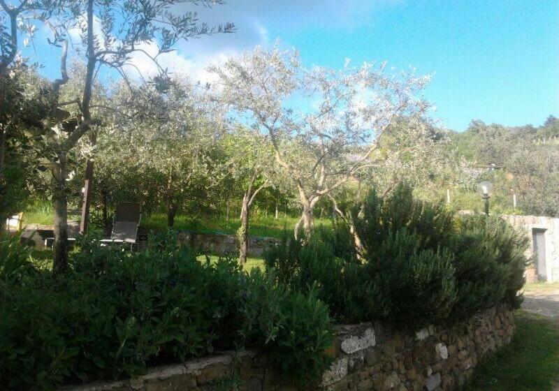 ホテル Agriturismo Poggio All'olmo