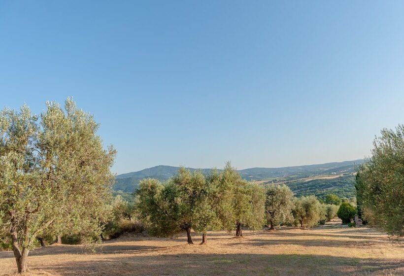 בית מלון כפרי Agriturismo Poggio Del Pero