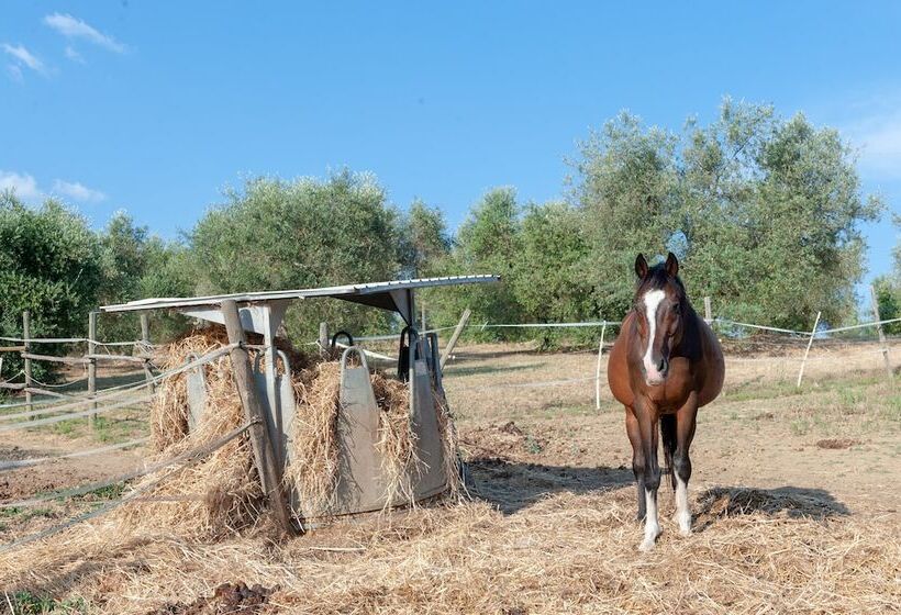 בית מלון כפרי Agriturismo Poggio Del Pero