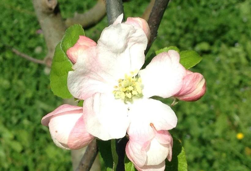 호텔 Agriturismo Zafferano E Dintorni