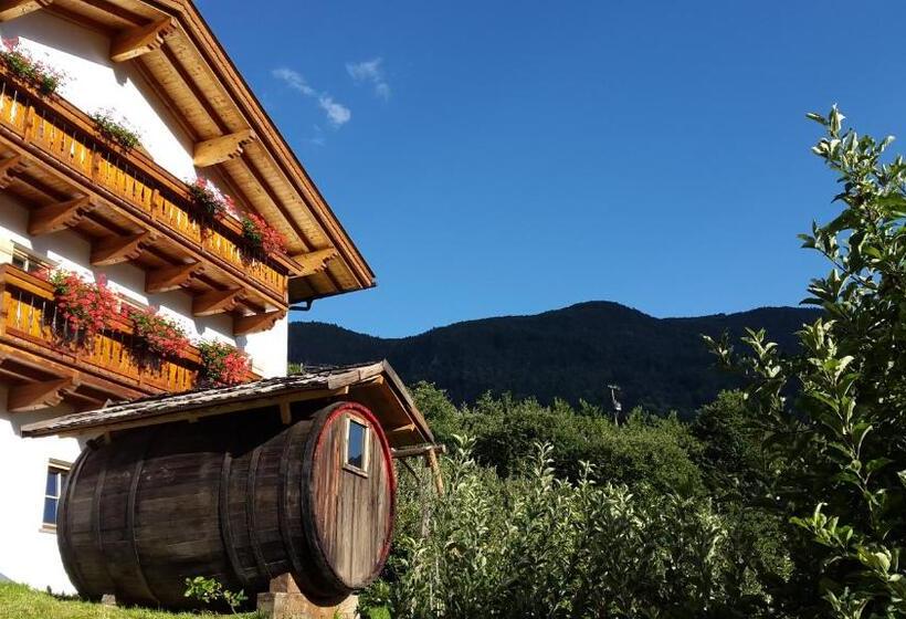 هتل Lafreiderhof